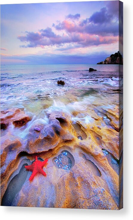Starfish Acrylic Print featuring the photograph Starfish by Giovanni Allievi