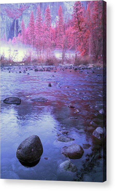 Yosemite Acrylic Print featuring the photograph Valley River in Yosemite by Jon Glaser