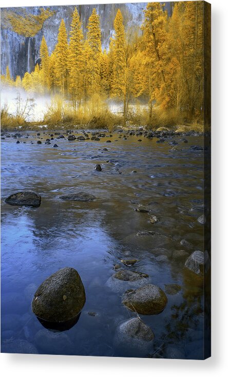 Yosemite Acrylic Print featuring the photograph Yosemite River in Yellow by Jon Glaser