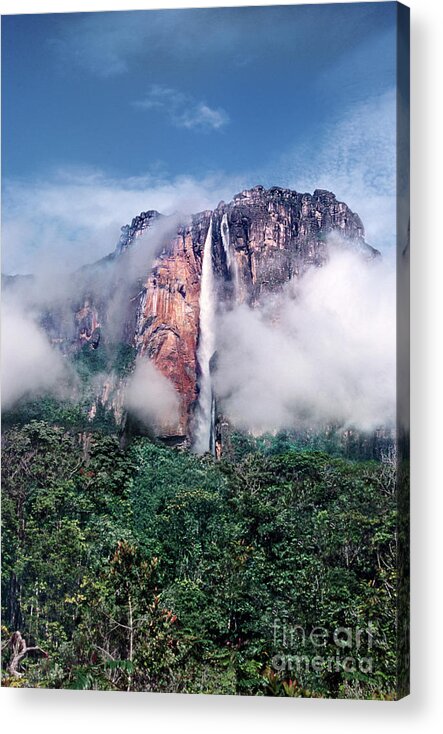 Dave Welling Acrylic Print featuring the photograph Angel Falls In Mist Canaima National Park Venezuela by Dave Welling