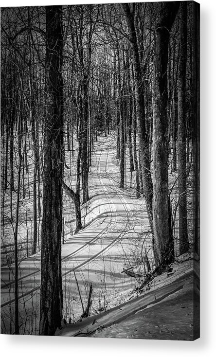 Blue Ridge Mountains Acrylic Print featuring the photograph Black and White Tracks in the Woods by Deb Beausoleil