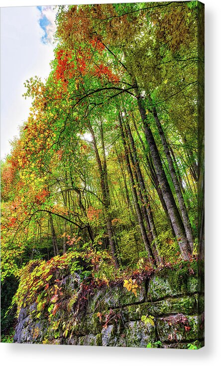 Autumn Acrylic Print featuring the photograph Colorful Rocky Wall by Dan Carmichael