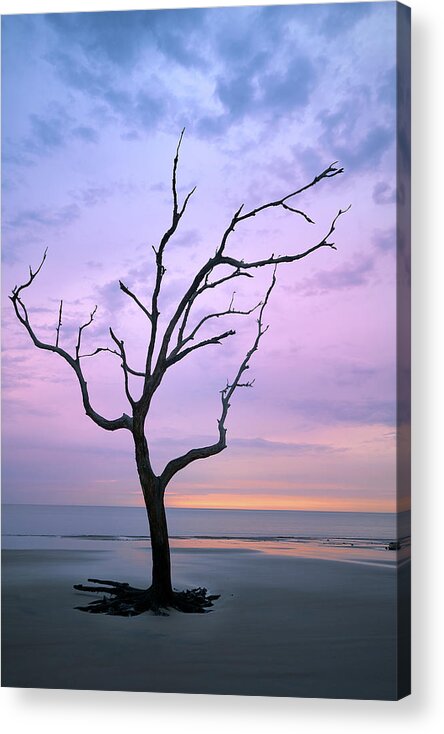 Nature Acrylic Print featuring the photograph Dawn on Jekyll Island by Jon Glaser