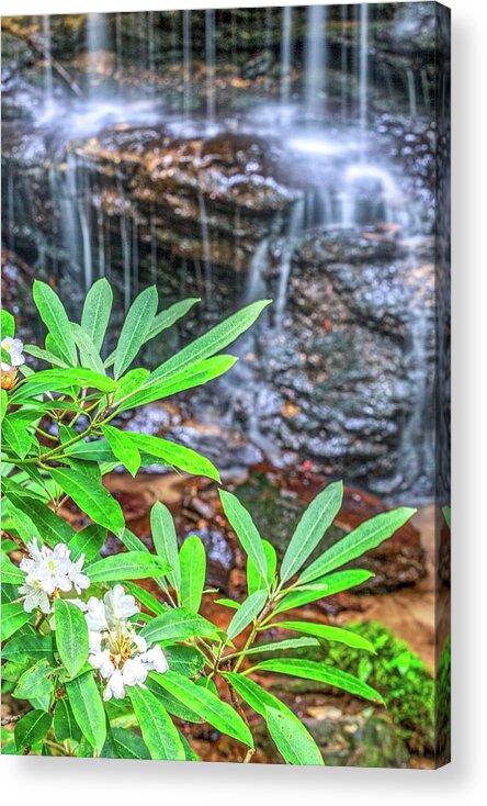 Red River Gorge Acrylic Print featuring the photograph Faded Falls by Ed Newell
