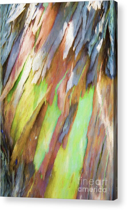 Gum Tree Acrylic Print featuring the photograph Gum tree bark painting by Sheila Smart Fine Art Photography