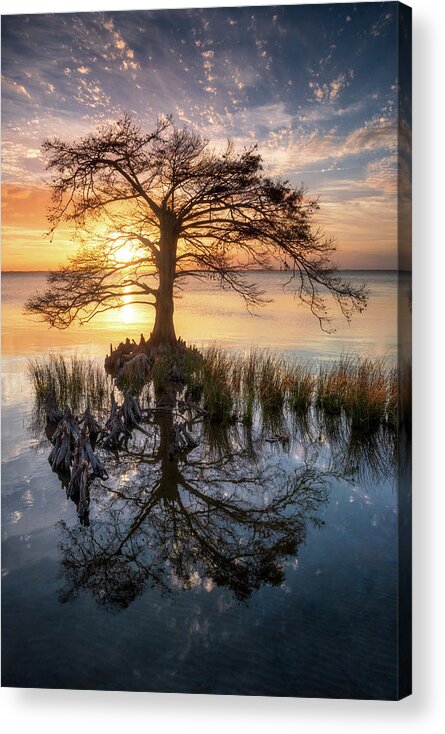 Obx Acrylic Print featuring the photograph Outer Banks North Carolina Cypress Tree Sunset Landscape OBX Duck NC by Dave Allen
