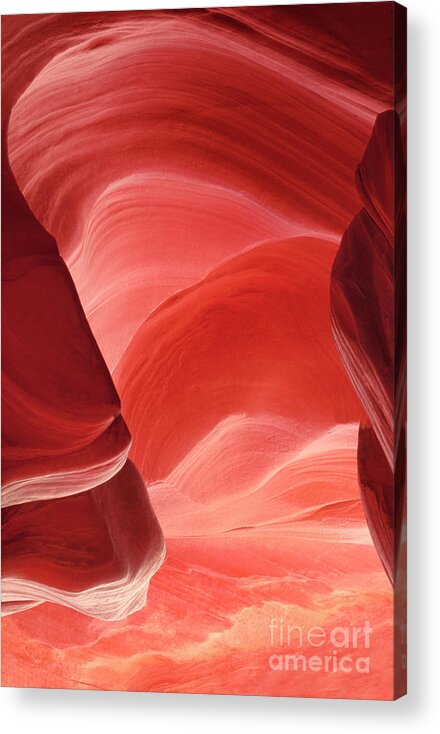 Dave Welling Acrylic Print featuring the photograph Pink Sandstone Detail Lower Antelope Slot Canyon Arizona by Dave Welling