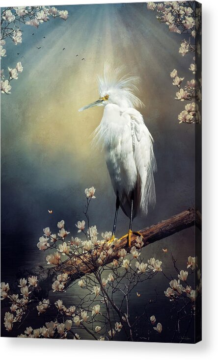 Egret Acrylic Print featuring the digital art Plumes of Spring by Nicole Wilde