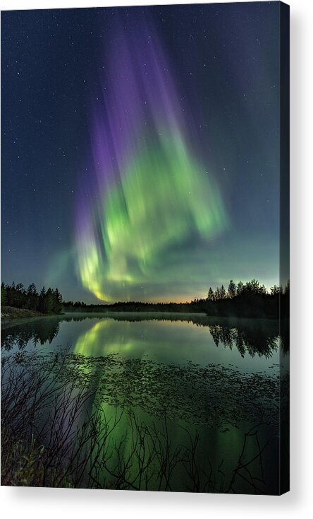 Aurora Borealis Acrylic Print featuring the photograph Purple flame by Thomas Kast