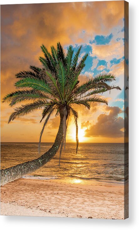 Sunset Beach Oahu Hawaii Palm Tree Acrylic Print featuring the photograph Sunset Beach Oahu Hawaii by Leonardo Dale