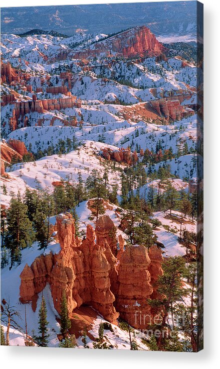 Dave Welling Acrylic Print featuring the photograph Winter Sunrise Bryce Canyon National Park by Dave Welling