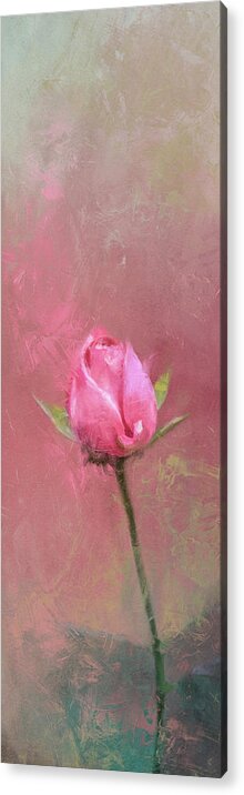 Flower Acrylic Print featuring the painting Single Pink Rose Bud by Jai Johnson