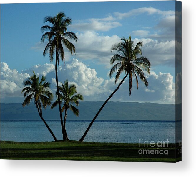 Hawaii Acrylic Print featuring the photograph A Little Bit of Paradise by Vivian Christopher