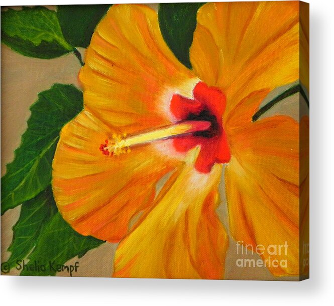 Art Acrylic Print featuring the painting Golden Glow - Hibiscus Flower by Shelia Kempf