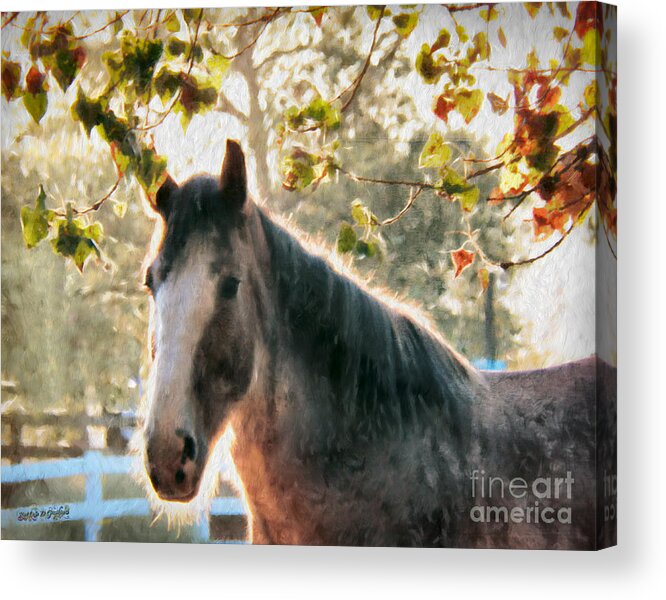  Acrylic Print featuring the digital art Early Morning Beauty II by Rhonda Strickland