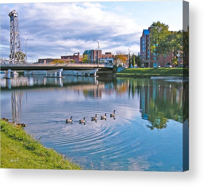 welland Ship Canal Acrylic Print featuring the photograph Morning Swim #1 by The Art of Marsha Charlebois
