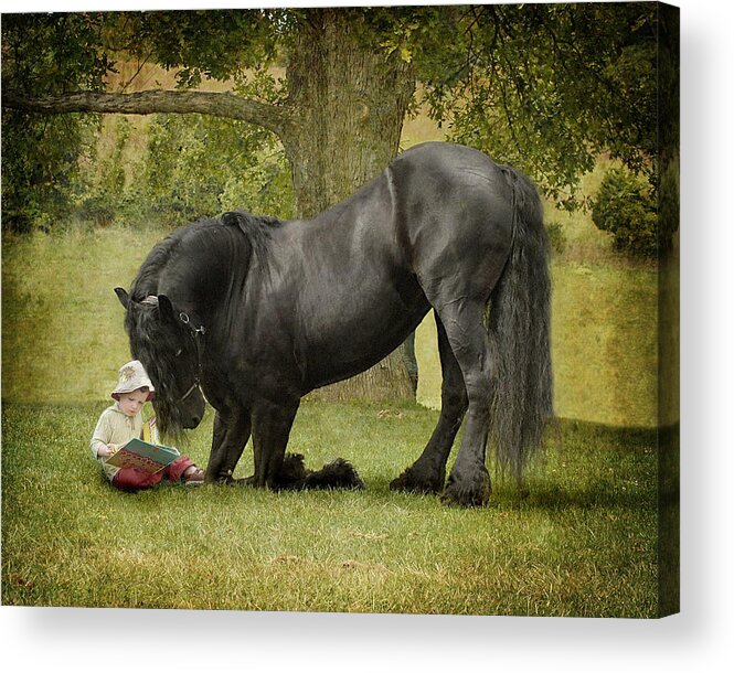 Friesian Acrylic Print featuring the photograph Once Upon A Time by Fran J Scott