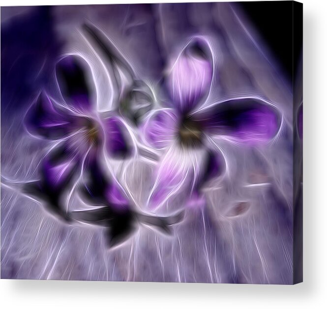 Flower Acrylic Print featuring the mixed media Purple Glow #2 by Pamela Walton