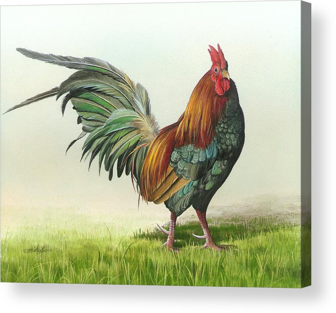 Rooster Acrylic Print featuring the painting Strutting #1 by Mike Brown