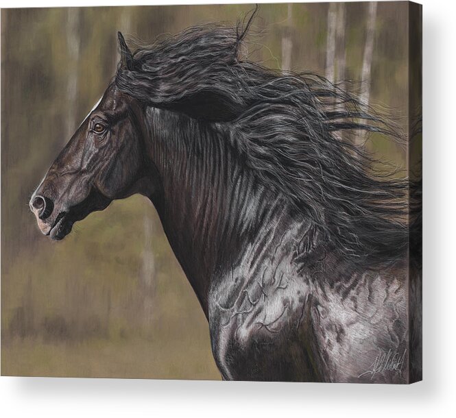 Equine Acrylic Print featuring the painting The Black Horse #2 by Terry Kirkland Cook