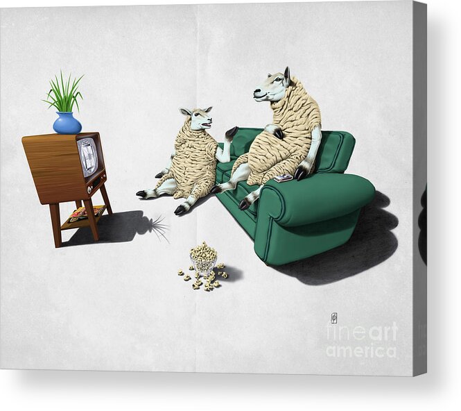 Illustration Acrylic Print featuring the drawing Sheep Wordless by Rob Snow