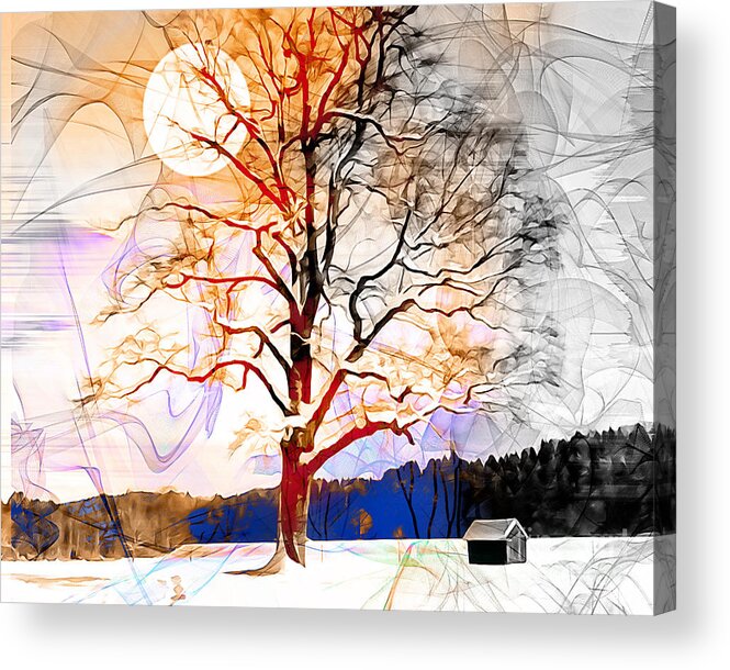 Nag004179 Acrylic Print featuring the photograph Winter Sun #2 by Edmund Nagele FRPS