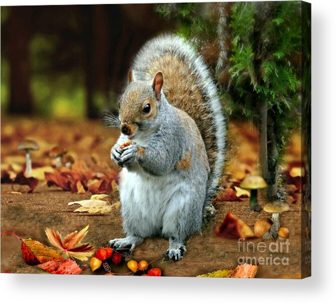 Harry The Squirrel Acrylic Print featuring the mixed media Harry the Squirrel #3 by Morag Bates