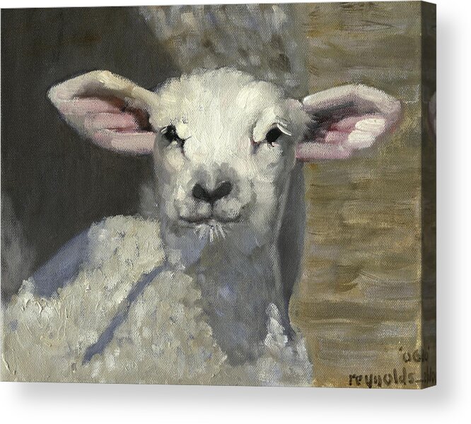  Acrylic Print featuring the painting Spring Lamb #4 by John Reynolds