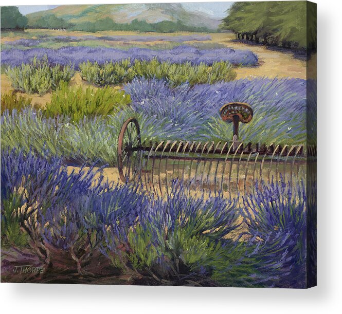 Lavender Acrylic Print featuring the painting Edge of the Lavender Field by Jane Thorpe