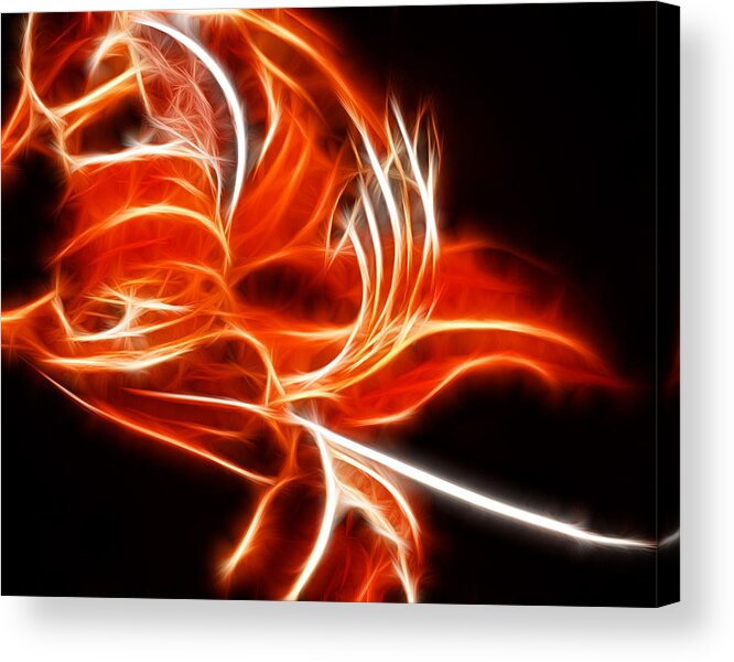 Fractal Acrylic Print featuring the photograph Fractal Flower #7 by Prince Andre Faubert