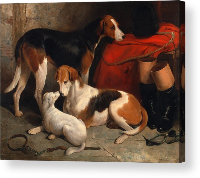William Barraud Acrylic Print featuring the painting A Couple of Foxhounds with a Terrier the property of Lord Henry Bentinck by William Barraud