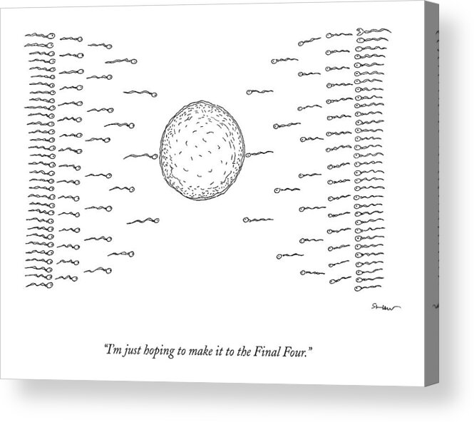 March Madness Acrylic Print featuring the drawing A Number Of Sperms Approach An Egg In The Shape by Michael Shaw