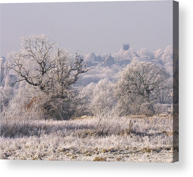 Nature Acrylic Print featuring the photograph A Winter Scene by Paul Scoullar