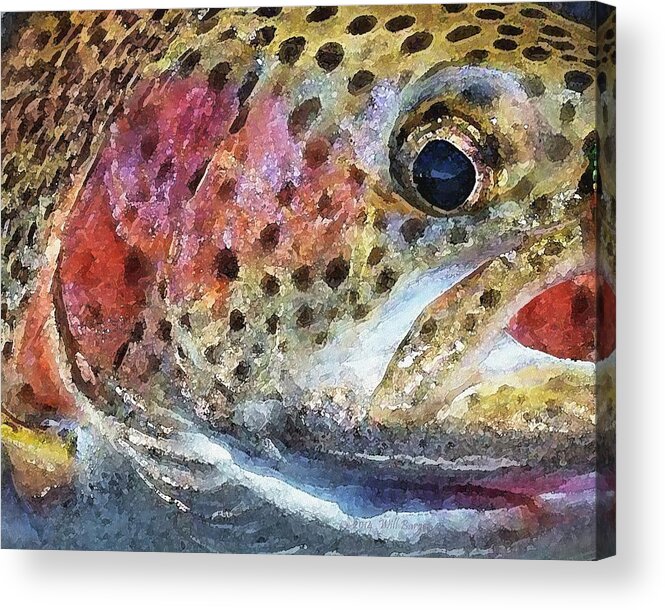 Fish Acrylic Print featuring the painting Abstract 005C by Will Barger