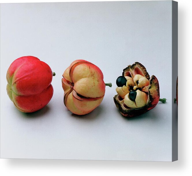 Fruits Acrylic Print featuring the photograph Ackee Fruit Development by Romulo Yanes