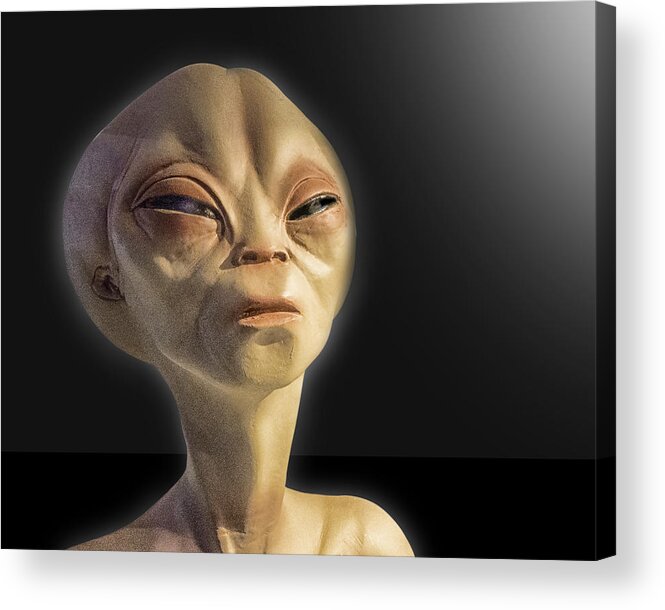 Alien Acrylic Print featuring the photograph Alien Yearbook Photo by Gary Warnimont