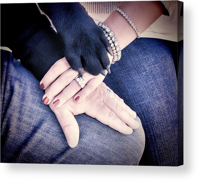  Acrylic Print featuring the photograph All Hands by Jeanne May
