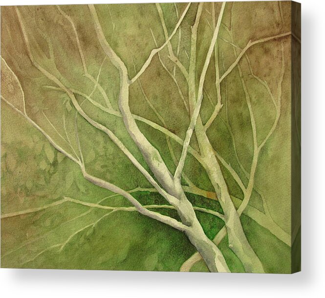 Trees Acrylic Print featuring the painting American Hornbeam by Amanda Amend