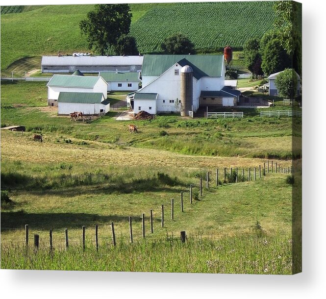 Amish Acrylic Print featuring the photograph Amish Farm by Steve Ondrus