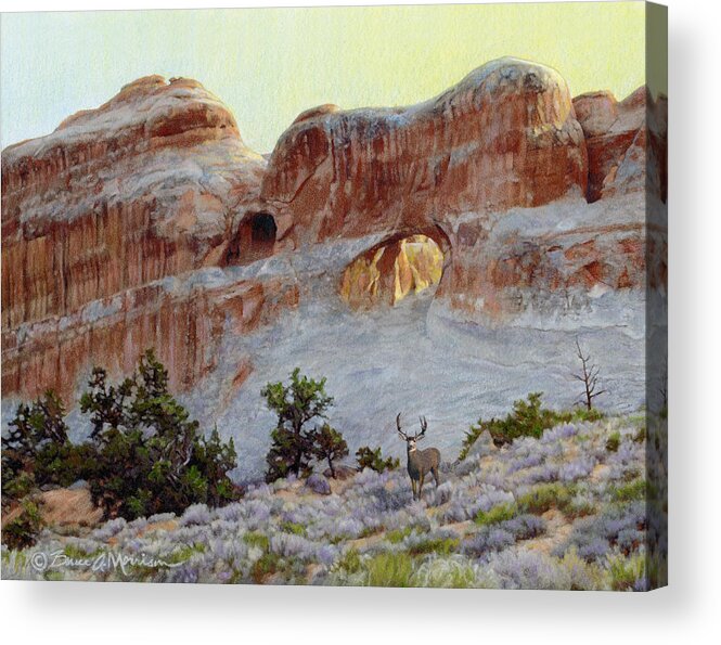 Arches National Park Acrylic Print featuring the drawing Arches Mulie by Bruce Morrison