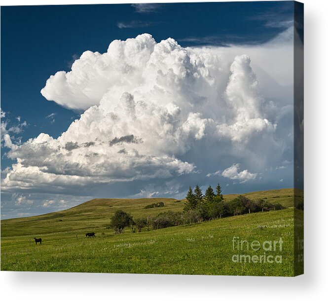 Hills Acrylic Print featuring the photograph Are You Comin' or What? by Royce Howland