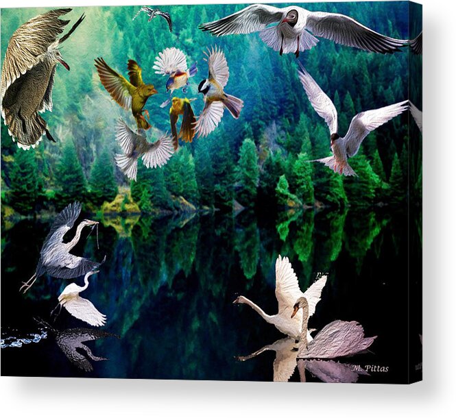 Birds Acrylic Print featuring the painting Ariel Squawkble by Michael Pittas