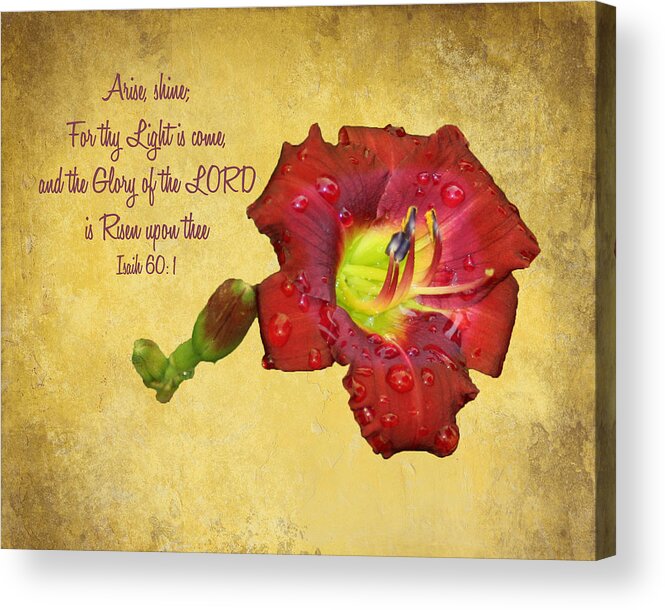 Flower Acrylic Print featuring the photograph Arise Shine by Bill Barber