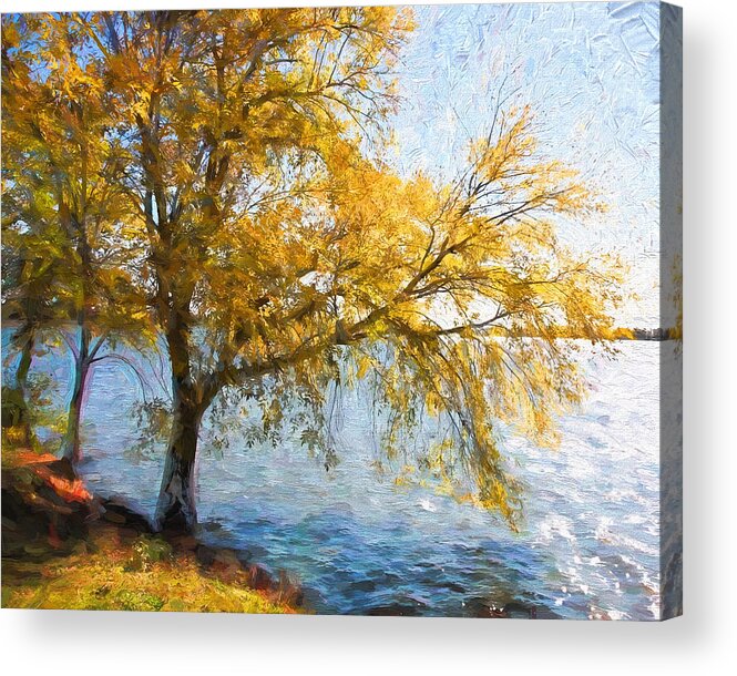 Autumn Acrylic Print featuring the photograph Autumn Glow by John Freidenberg