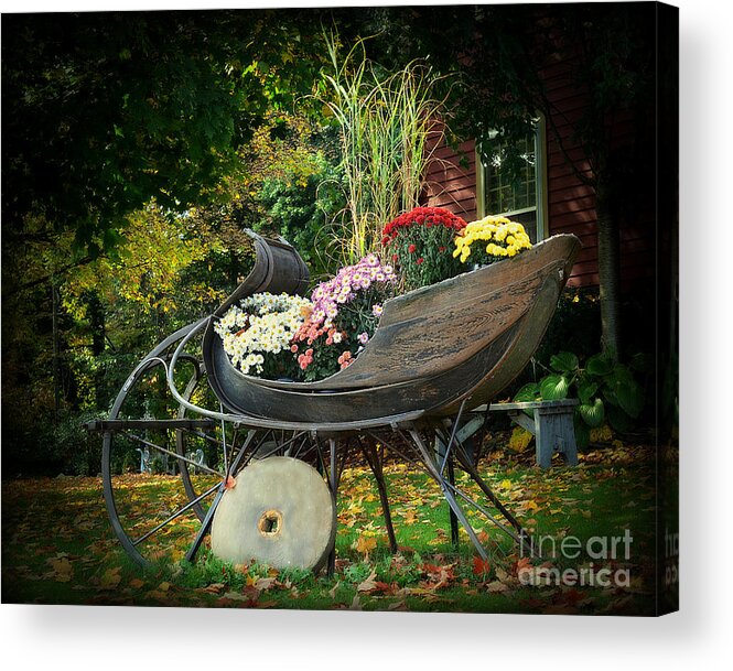 Autumn Acrylic Print featuring the photograph Autumn Sleigh by Lila Fisher-Wenzel