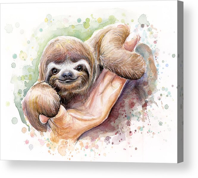 Sloth Acrylic Print featuring the painting Baby Sloth Watercolor by Olga Shvartsur