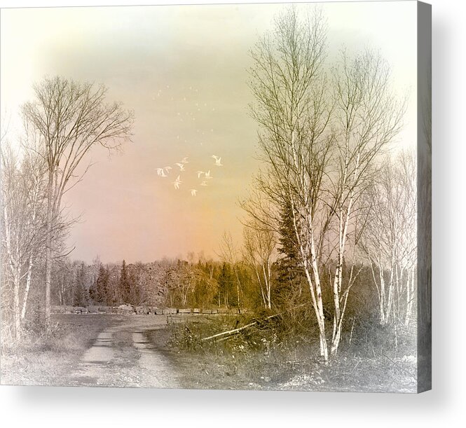 Evie Acrylic Print featuring the photograph Barbeau Michigan by Evie Carrier