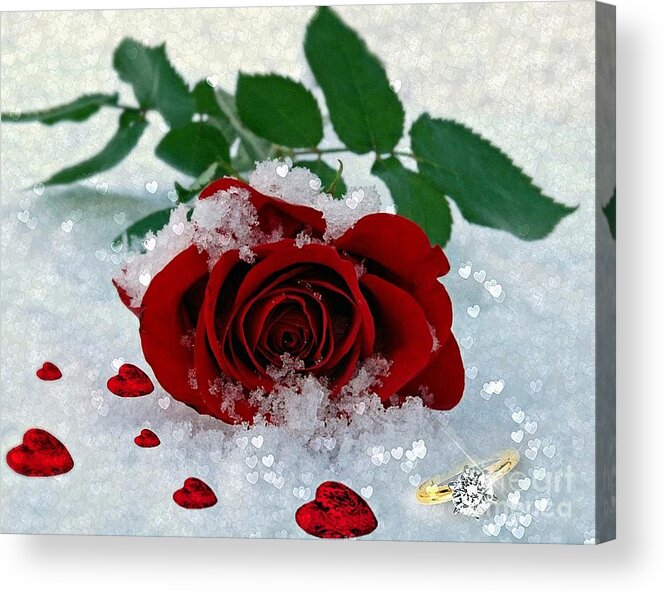 red Rose Acrylic Print featuring the mixed media Be Mine by Morag Bates