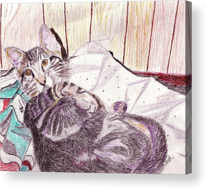 Cat Acrylic Print featuring the painting Bedtime Meows by Sarabjit Singh