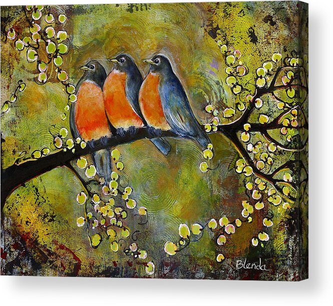 Robins Acrylic Print featuring the painting Three Little Robin Birds by Blenda Studio